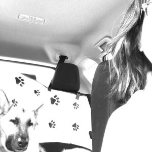 Meet your Posher, GAM